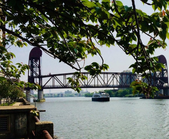 18 Year Old Jumps From Queensboro Bridge and Lives An NYC Ferry like the one shown here earlier in May rescued a bridge jumper on Thursday off Roosevelt Island.